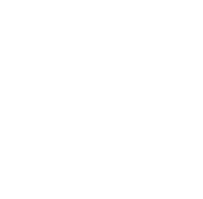github language skill